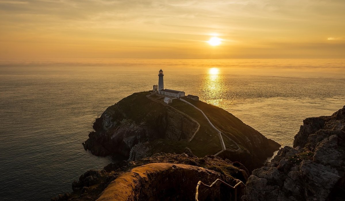 Rock Pooling Ethics for Families and Nature Lovers